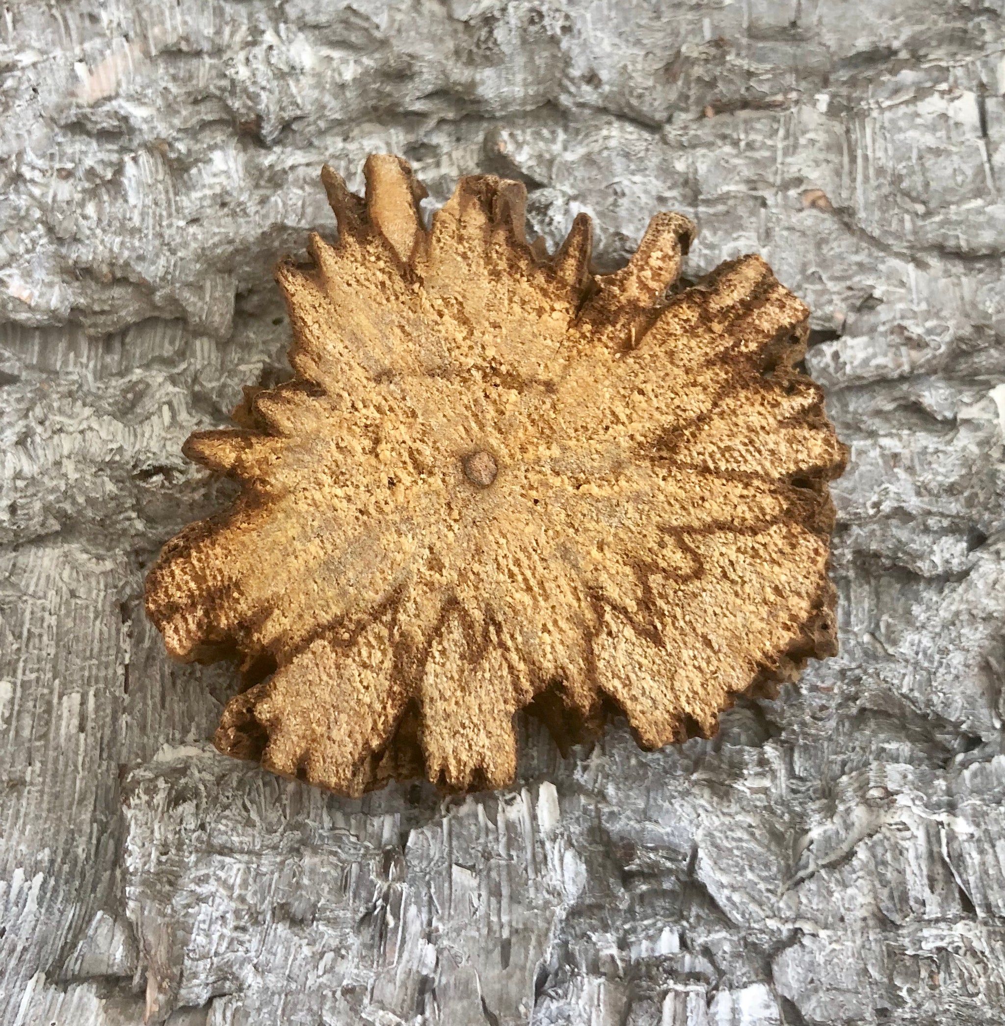 PALO SANTO NATURAL DIFFUSER