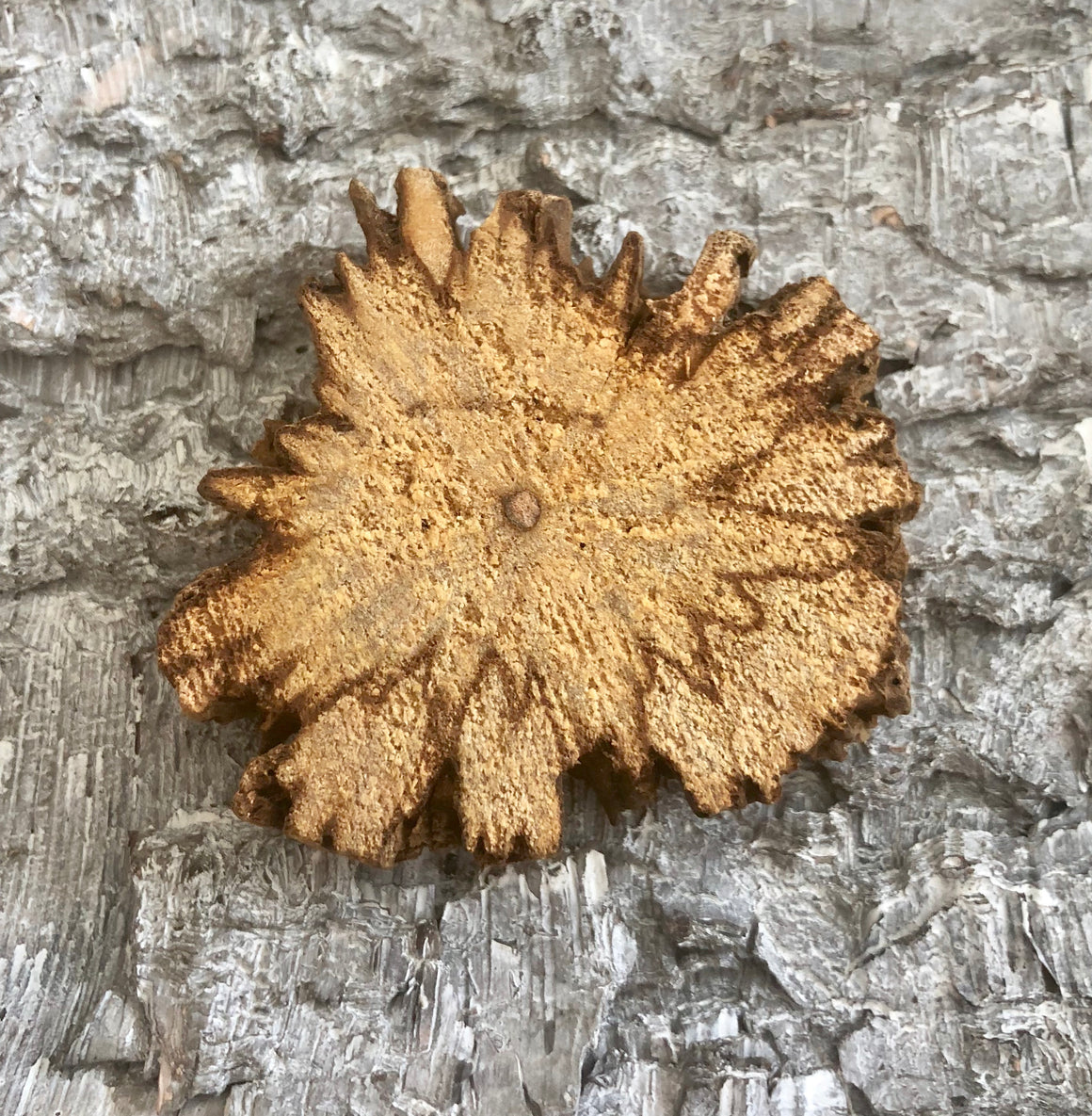 PALO SANTO NATURAL DIFFUSER