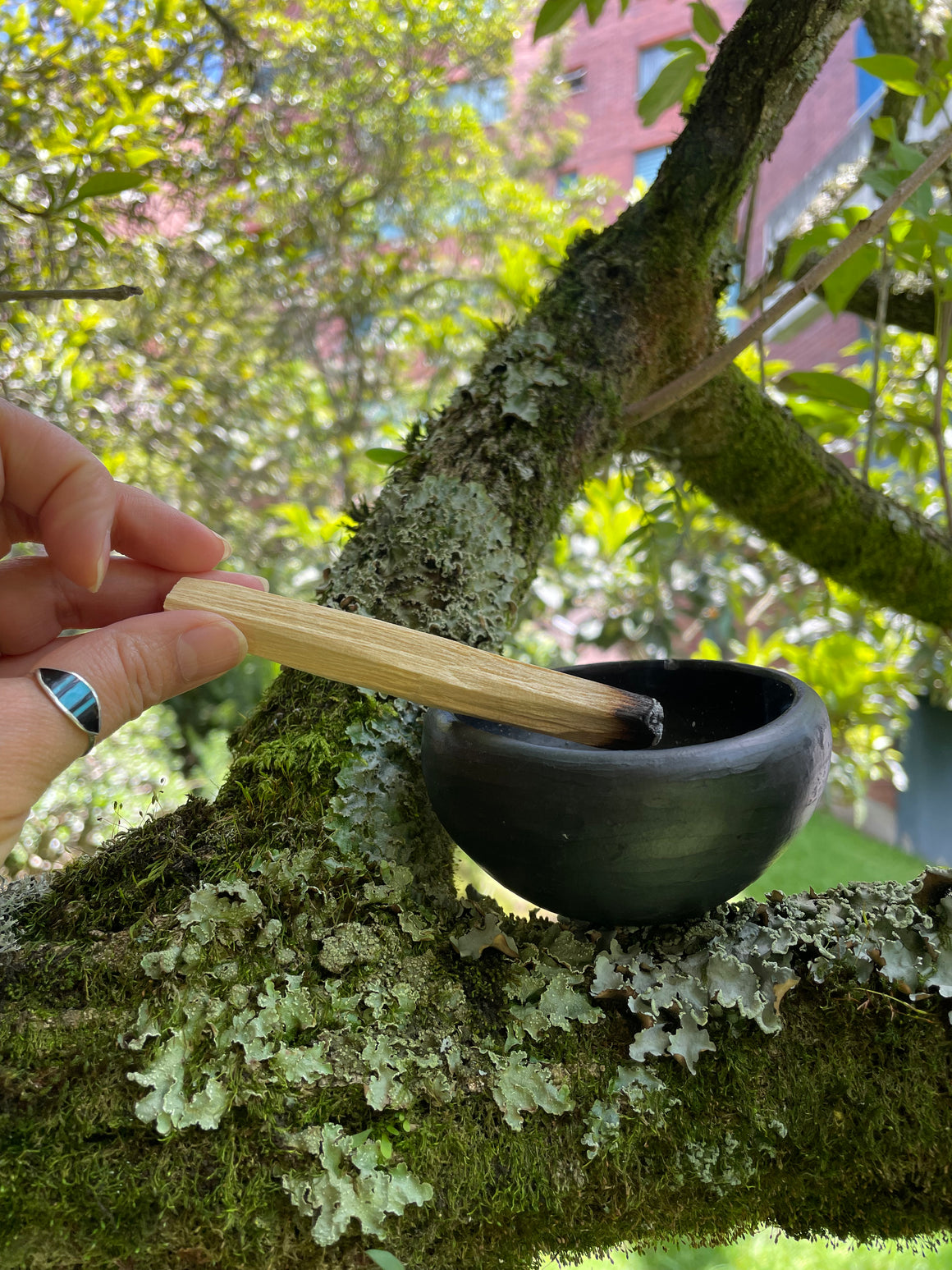 PALO SANTO STICKS NATURAL INCENSE