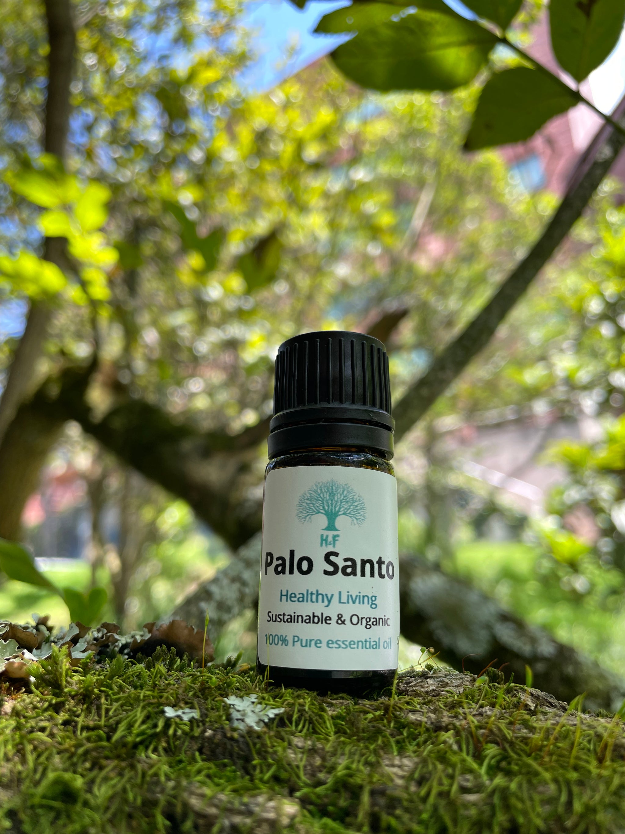PALO SANTO ESSENTIAL OIL 5ML